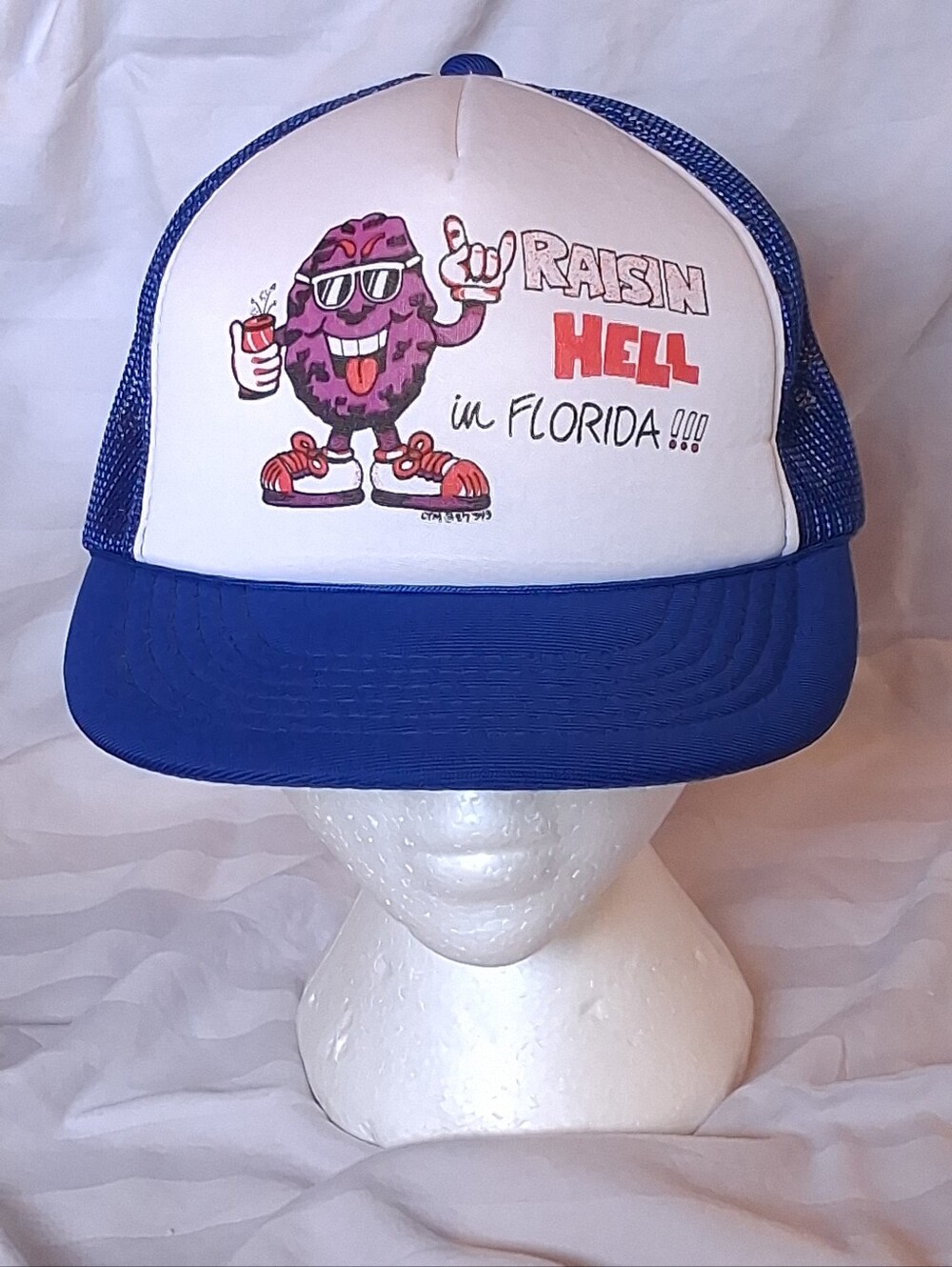 VTG 1980s That Hat "Raisin Hell in Florida" Blue Trucker Hat California Raisins